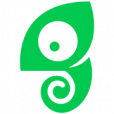 Chameleon Logo