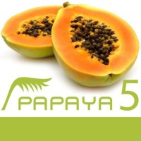 papaya CMS Logo