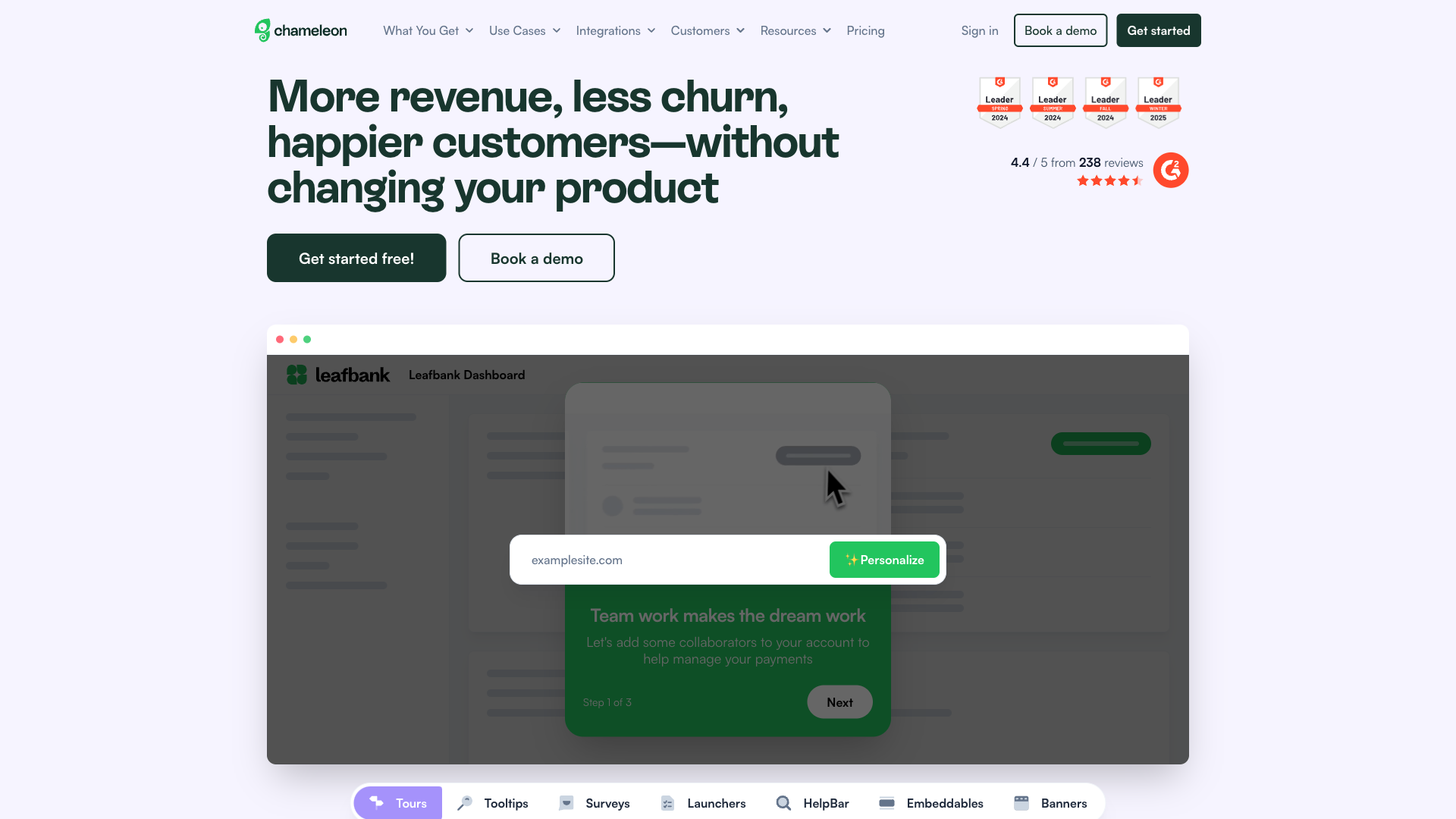 Chameleon Website Homepage