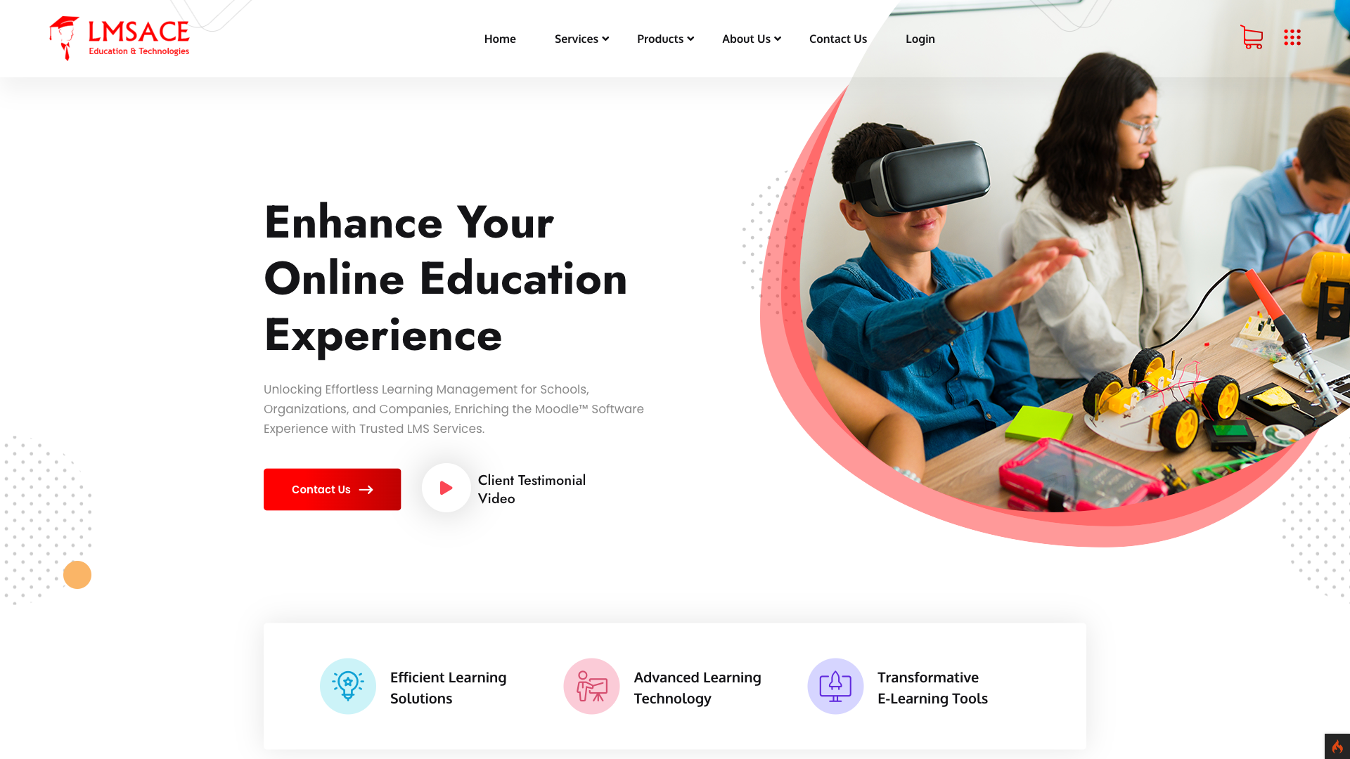 LMS Ace Website Homepage