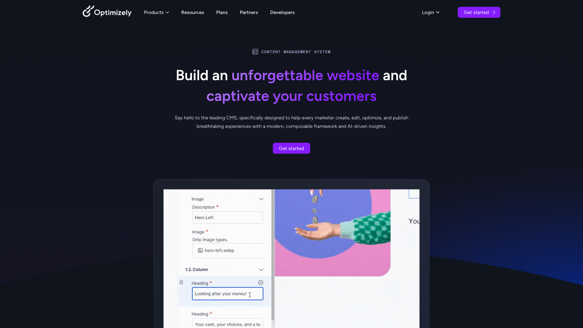 Optimizely CMS Website Homepage